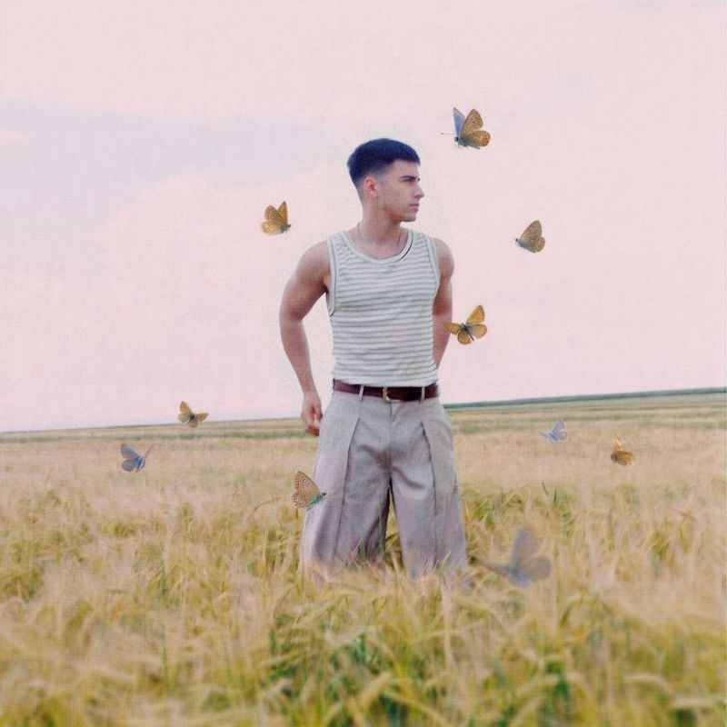 Guille Toledano Mil Mariposas